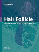 Hair Follicle