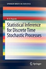 Statistical Inference for Discrete Time Stochastic Processes