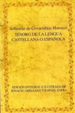 Tesoro de la lengua castellana o espanola