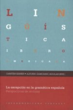 La excepción en la gramática española. Perspectivas de análisis.