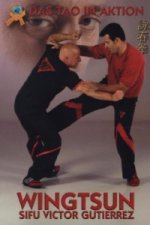 Das Tao in Aktion, WingTsun