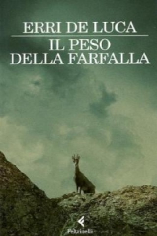 Il peso della farfalla