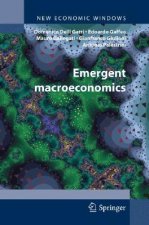 Emergent Macroeconomics