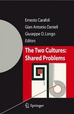Two Cultures: Shared Problems