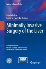 Minimally Invasive Surgery of the Liver