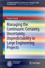 Managing the Continuum: Certainty, Uncertainty, Unpredictability in Large Engineering Projects