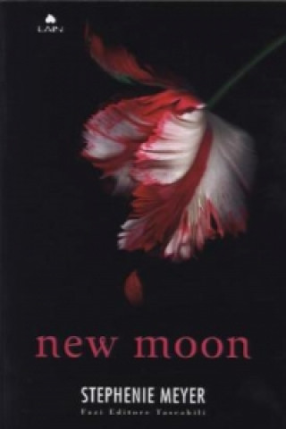 New Moon - Paperback