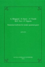 Numerical methods for atomic quantum gases