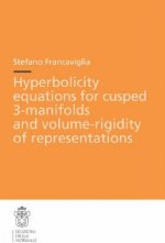 Hyperbolicity equations for cusped 3-manifolds and volume-rigidity of representations