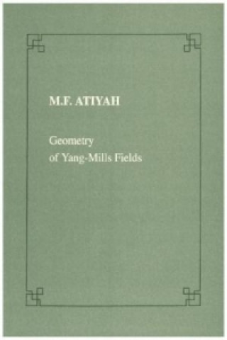 Geometry of Yang-Mills Fields