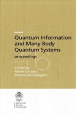 Quantum Information and Many Body Quantum Systems