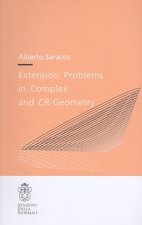 Extension problems in complex and CR-geometry