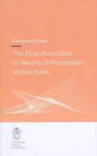 Flow Associated to Weakly Differentiable Vector Fields