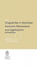 Singularities in nonlinear evolution phenomena and applications