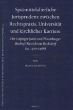 Spätmittelalterliche Jurisprudenz zwischen Rechtspraxis, Universität und kirchlicher Karriere