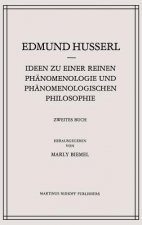 Ideen Zu Einer Reinen Ph?Nomenologie Und Ph?Nomenologischen Philosophie