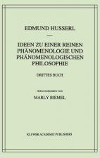 Ideen Zu Einer Reinen Phanomenlogie Und Phanomenlogischen Philosophie