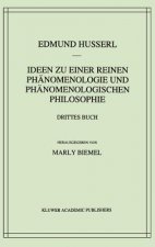 Ideen Zu Einer Reinen Phanomenlogie Und Phanomenlogischen Philosophie