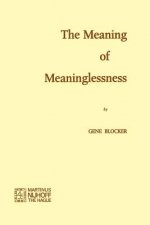 Meaning of Meaninglessness