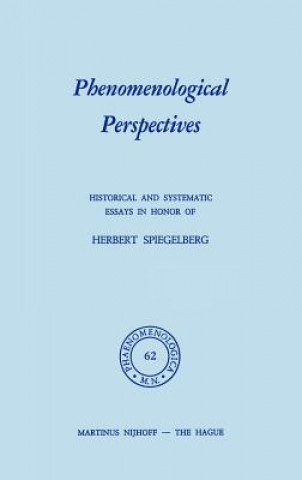 Phenomenological Perspectives
