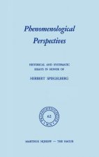 Phenomenological Perspectives