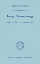 Doing Phenomenology