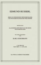 Ideen Zu Einer Reinen Phanomenologie Und Phanomenologischen Philosophie
