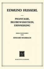Phantasie, Bildbewusstsein, Erinnerung Zur Phaenomenologie Der Anschauichen Vergegenwaertigungen Texte Aus Dem Nachlass