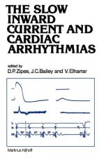 Slow Inward Current and Cardiac Arrhythmias