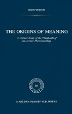 Origins of Meaning