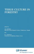 Tissue Culture in Forestry