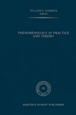 Phenomenology in Practice and Theory