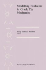 Modelling Problems in Crack Tip Mechanics