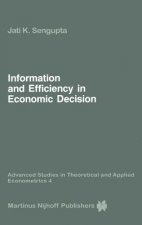 Information and Efficiency in Economic Decision