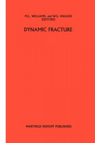 Dynamic fracture