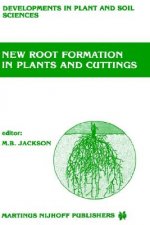 New Root Formation in Plants and Cuttings