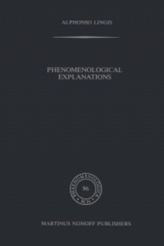 Phenomenological Explanations
