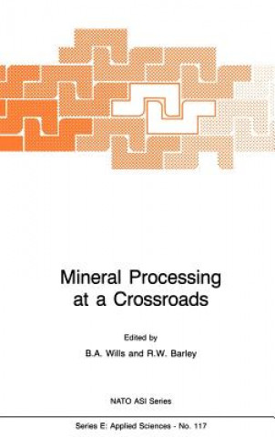 Mineral Processing at a Crossroads