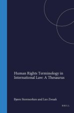Human Rights Terminology in International Law: A Thesaurus; .