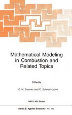 Mathematical Modeling in Combustion and Related Topics