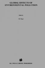 Global Effects of Environmental Pollution
