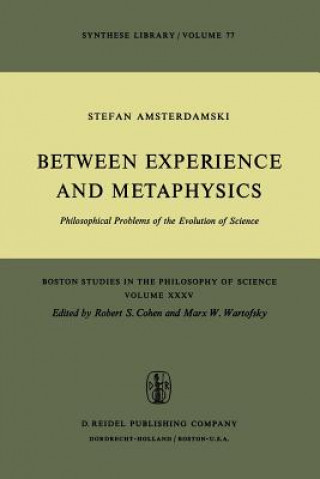 Between Experience and Metaphysics