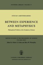 Between Experience and Metaphysics