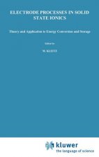 Electrode Processes in Solid State Ionics