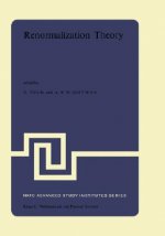 Renormalization Theory