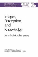 Images, Perception, and Knowledge