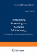 Instrumental Reasoning and Systems Methodology