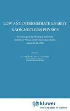 Low and Intermediate Energy Kaon-Nucleon Physics