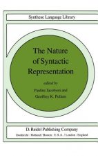 Nature of Syntactic Representation