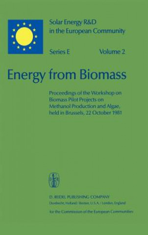 Energy from Biomass